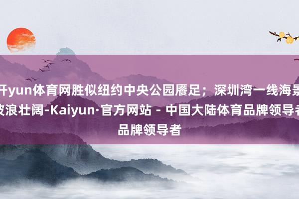 开yun体育网胜似纽约中央公园餍足；深圳湾一线海景波浪壮阔-Kaiyun·官方网站 - 中国大陆体育品牌领导者