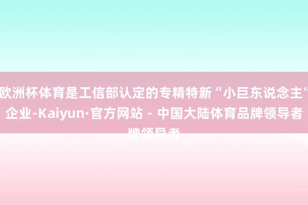 欧洲杯体育是工信部认定的专精特新“小巨东说念主”企业-Kaiyun·官方网站 - 中国大陆体育品牌领导者