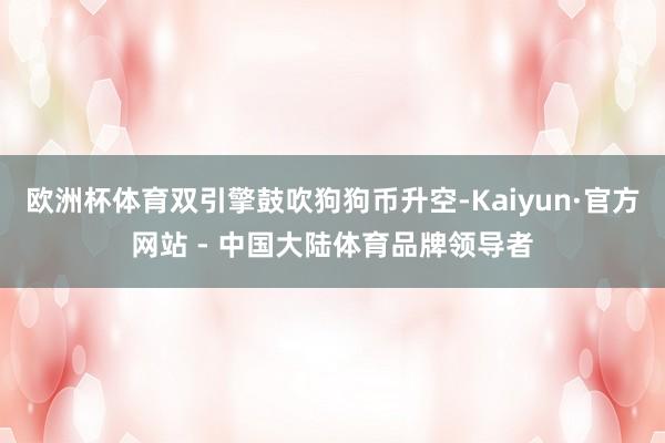 欧洲杯体育双引擎鼓吹狗狗币升空-Kaiyun·官方网站 - 中国大陆体育品牌领导者